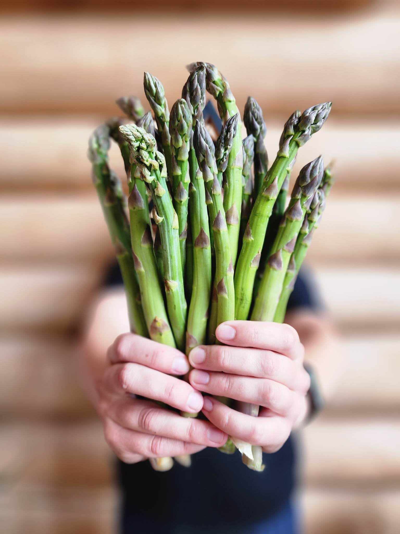 382690045_641071561429664_2026926913197475537_n